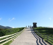 세종사이버대학교 한국어학과, ‘봄맞이 하늘 사진 찍기’ 이벤트 성료