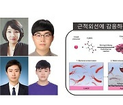 서울시립대 생명과학과 최인희 교수, 금속 유기물 골격체 기반 나노 항균제 개발