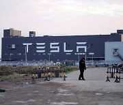 Tesla scraps plan for plant in India, raising hopes in Korea