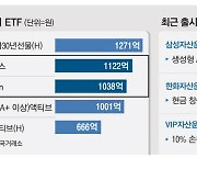 변동장에 더 뜬다 …'틈새 ETF' 인기