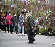 [내일 날씨] 식목일 전국에 종일 단비…미세먼지 '좋음'