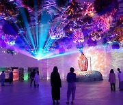 도쿄관광한국사무소, 꽃과 디지털이 융합된 플라워 파크 ‘하나비요리’ 소개