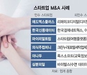 "단숨에 기술력 도약"···M&A 뛰어든 스타트업