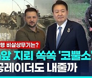 [영상] 우크라 보낼 비살상무기는?…정부, 선별 작업 착수