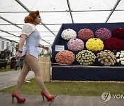 BRITAIN FLOWER SHOW