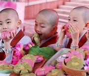 식물성 재료로 만든 '연꽃단팥빵'