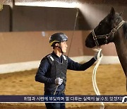 "안전·복지 동시 UP"…마사회 '과학적 말 조련·조교법' 콘텐츠 공개