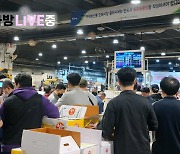 NS홈쇼핑, '엔라방'서 당일 경매 최상급 과일 판매