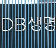 [금융가 인사이드] 무상감자로 돌파구?…매각 앞둔 KDB생명 '첩첩산중'