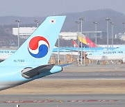 ‘여객기 내 실탄 발견’ 대한항공·인천공항공사 과태료 부과