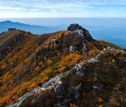 팔공산 23번째 국립공원됐다…태백산 이후 7년만(종합)