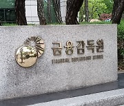 금감원, 증권업계 '채권 돌려막기' 검사(종합)