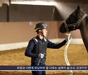 한국마사회, '과학적 말 조련·조교법' 연구결과 발표