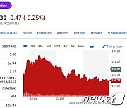 부채협상 불발, 테슬라 1.64% 하락한 185.77달러에 마감