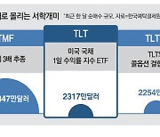'美장기채 ETF 3형제' 몰려드는 서학개미
