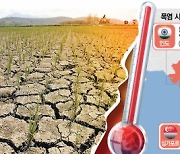 베트남, 여름 아닌데 벌써 44도···태국선 "물 부족, 쌀 한번만 재배"
