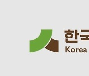 韓식품업체들 中 '짝퉁 불닭면·다시다' 상대 소송 승소