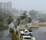 [포토] 태풍 마와르가 몰고 온 강풍