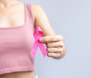 유방암, 5년새 30% 급증…‘이 습관’ 위험 높인다