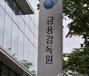 금감원 “키움證 외 CFD 취급사도 검사 중···부당행위 속속 확인”