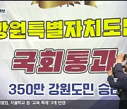 강원특별법 개정안 국회 통과…4대 규제 특례 확보