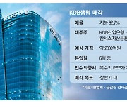 [레이더M] '매각 5수' KDB생명, 내달 본입찰