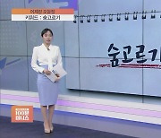 [어제장 오늘장] 8일 만의 '숨 고르기'…'슈퍼 사이클' 앞당겨질 업종은?