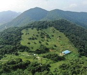 무등산국립공원 생태 훼손지 복원 시작