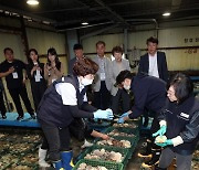 일본산 활가리비 방사능 검사하는 식약처 직원들