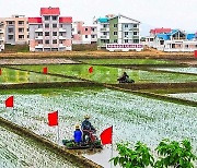 북한, 농촌 당원 다그치기… "농업 전선 맨 앞장서야"