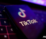 틱톡, 필리핀서 AI 챗봇 '타코' 테스트…'숏폼' 넘어 사업영업 확장