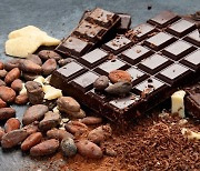 초콜릿 원료 ‘○○○’…6가지 건강 효능