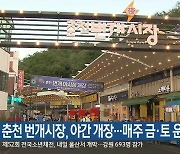 춘천 번개시장, 야간 개장…매주 금·토 운영