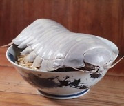 "충격적인 비주얼"…한 그릇 6만원 '바다 바퀴벌레' 라멘