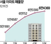 급매 소진 후 거래 '뚝'…서울 아파트 매물 26% 늘어