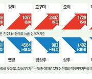 오렌지 대신 사과 찾는 소비자…사과값 50% 급등