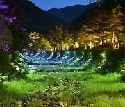 ‘강릉 솔향수목원’ 6월부터 야간 개장···713개 조명기구로 이색경관 연출
