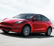 Telsa to begin sales of China-made Model Y RWD in Korea this year