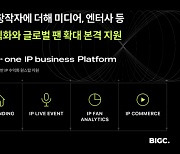 올인원 IP 비즈니스 플랫폼 빅크, ‘빅크 엔터프라이즈’ 론칭…“B2B 대상 서비스 본격화”