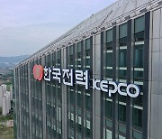 Korea’s state utility KEPCO faces daily interest expense of $8.74 million