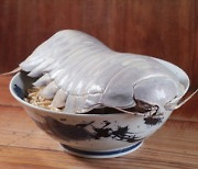 “속살은 랍스터 맛”… 6만원 넘는 ‘바다 바퀴벌레’ 라멘, 수량 부족에 단골에게만 판매