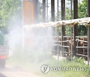 충북 구제역 발생에 청정국 지위 획득 '불발'