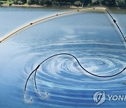 춘천 북한강서 다슬기 채취 나선 60대 숨진 채 발견