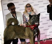 France Cannes Palm Dog Awards 2023