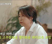 임영웅, 母가 밝힌 최애 반찬은? "오징어찌개=집안 시그니처 메뉴"('마이 리틀 히어로')