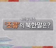 [북한말 한마디] '조류'의 북한말은?