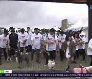 "반려견과 함께 달려요" 반려동물 축제 개최