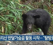 지리산 반달가슴곰 활동 시작…“탐방로 이용”