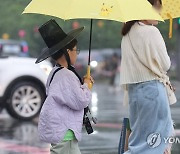 갓과 우산