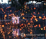 함안 낙화놀이 불꽃 예술